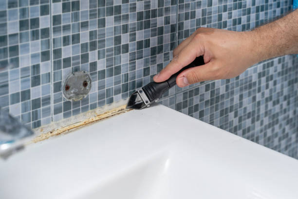 Banks, OR Mold Removal Company