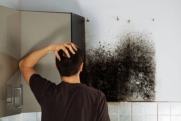 Best Certified Mold Removal  in Banks, OR