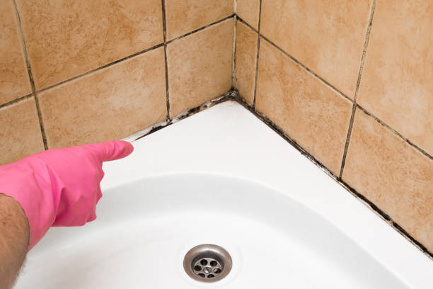 Best Mold Testing  in Banks, OR